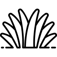 herbe pictogramme